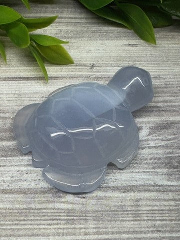 Blue Chalcedony Sea Turtle Carving