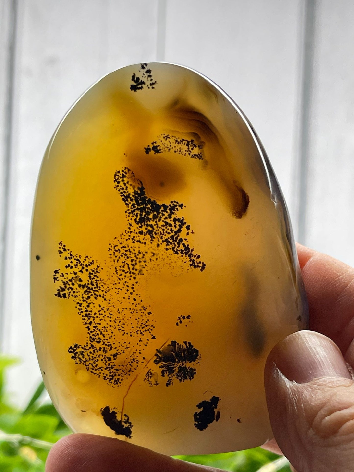 Dendritic Agate Freeform