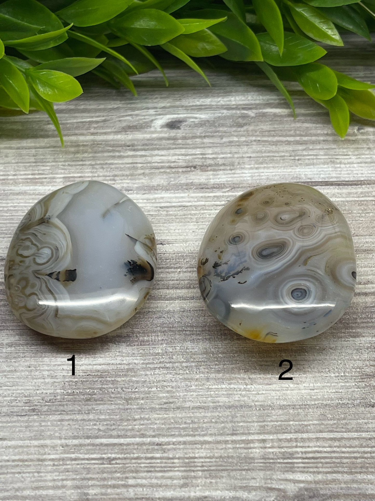 Dendritic Agate Palm Stones