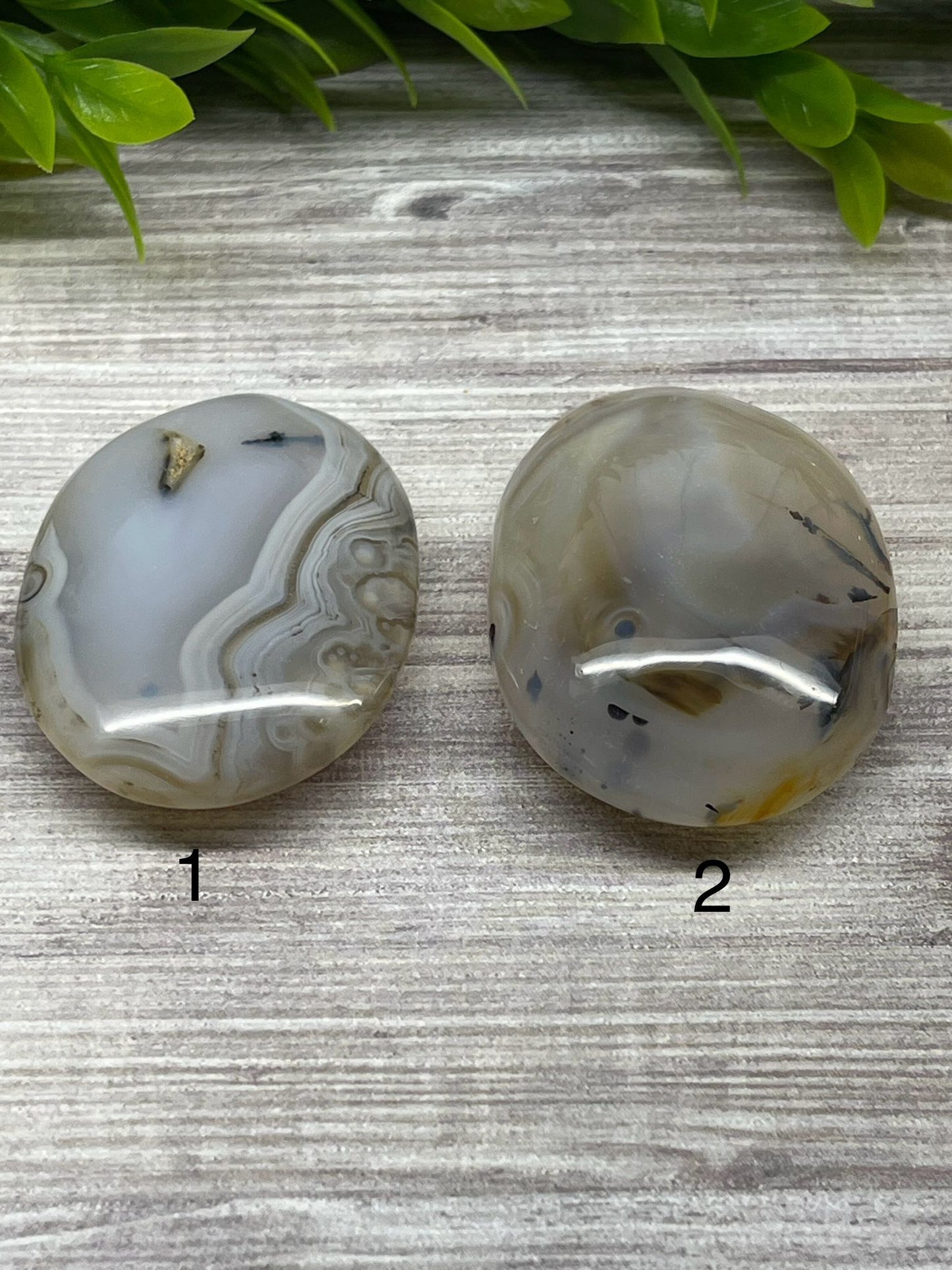 Dendritic Agate Palm Stones