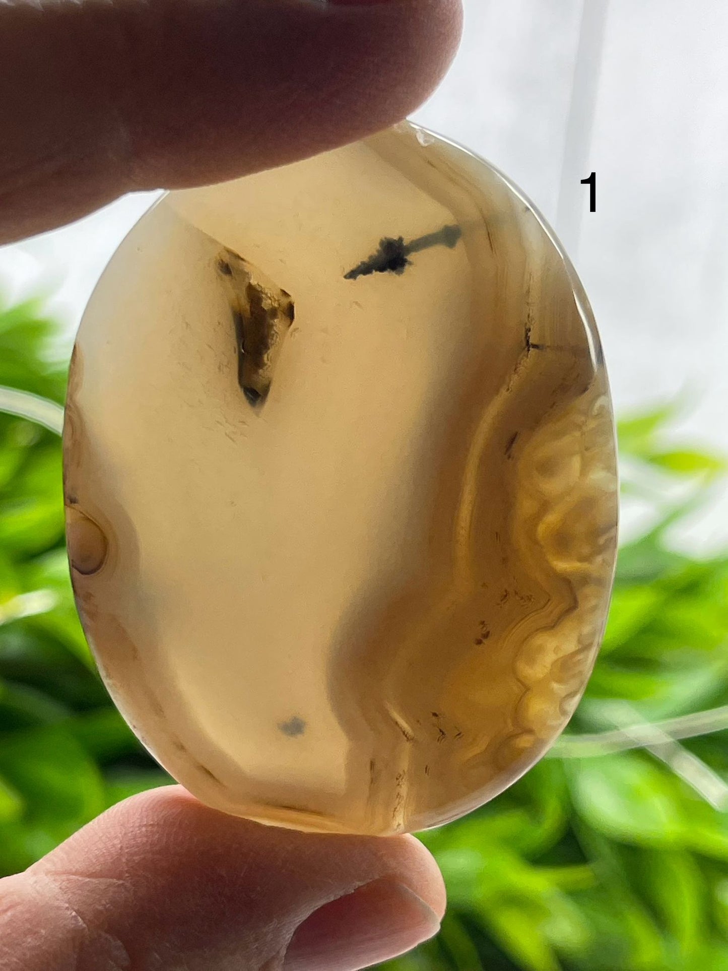 Dendritic Agate Palm Stones