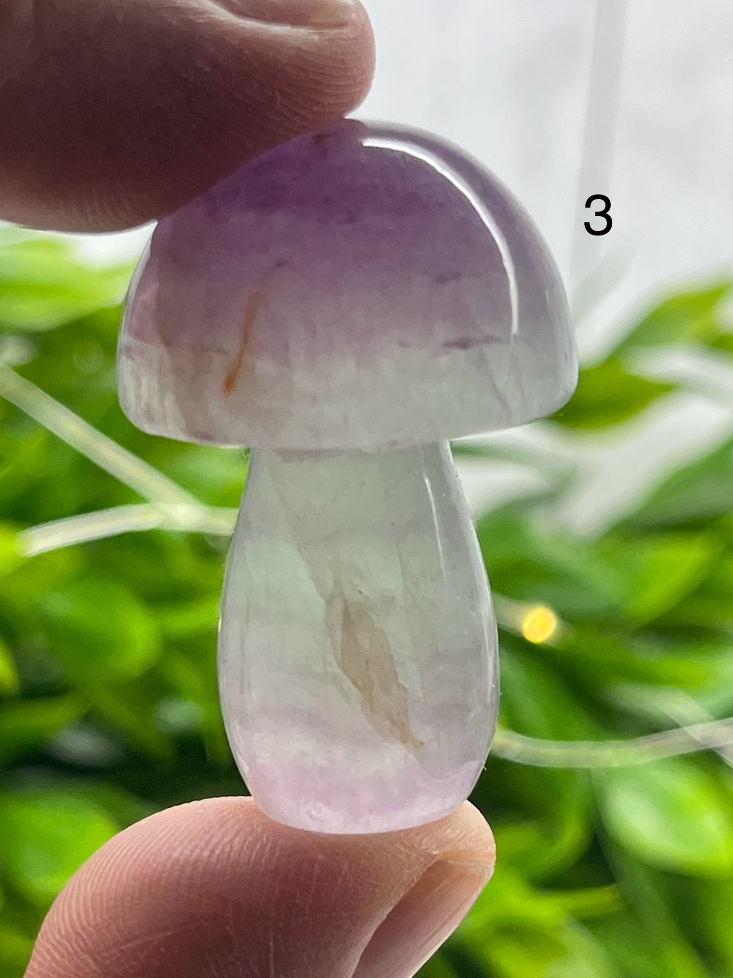 Fluorite Mushrooms