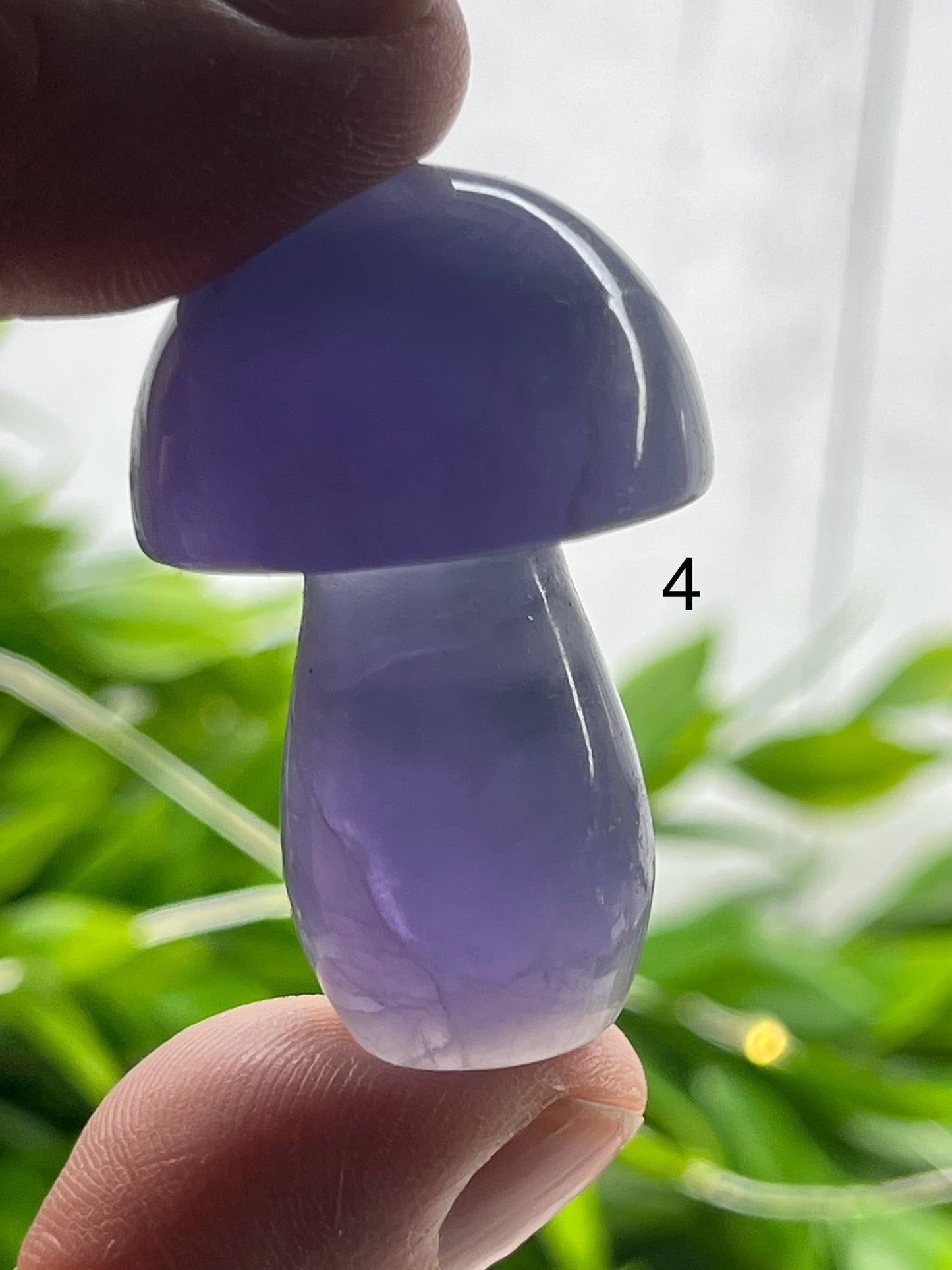 Fluorite Mushrooms