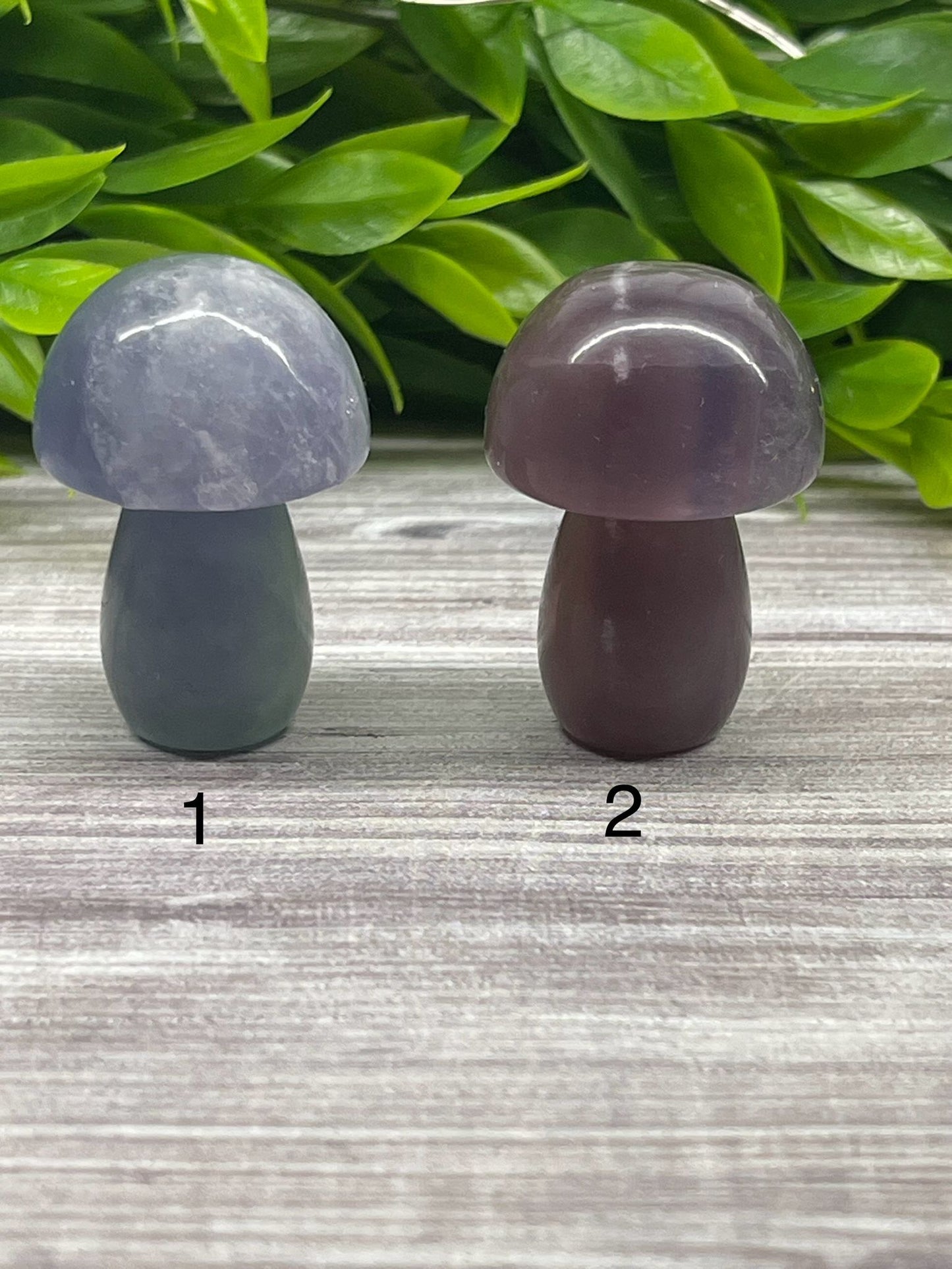 Fluorite Mushrooms