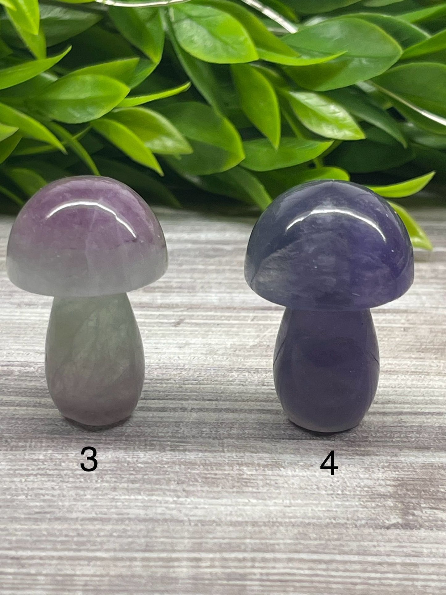 Fluorite Mushrooms