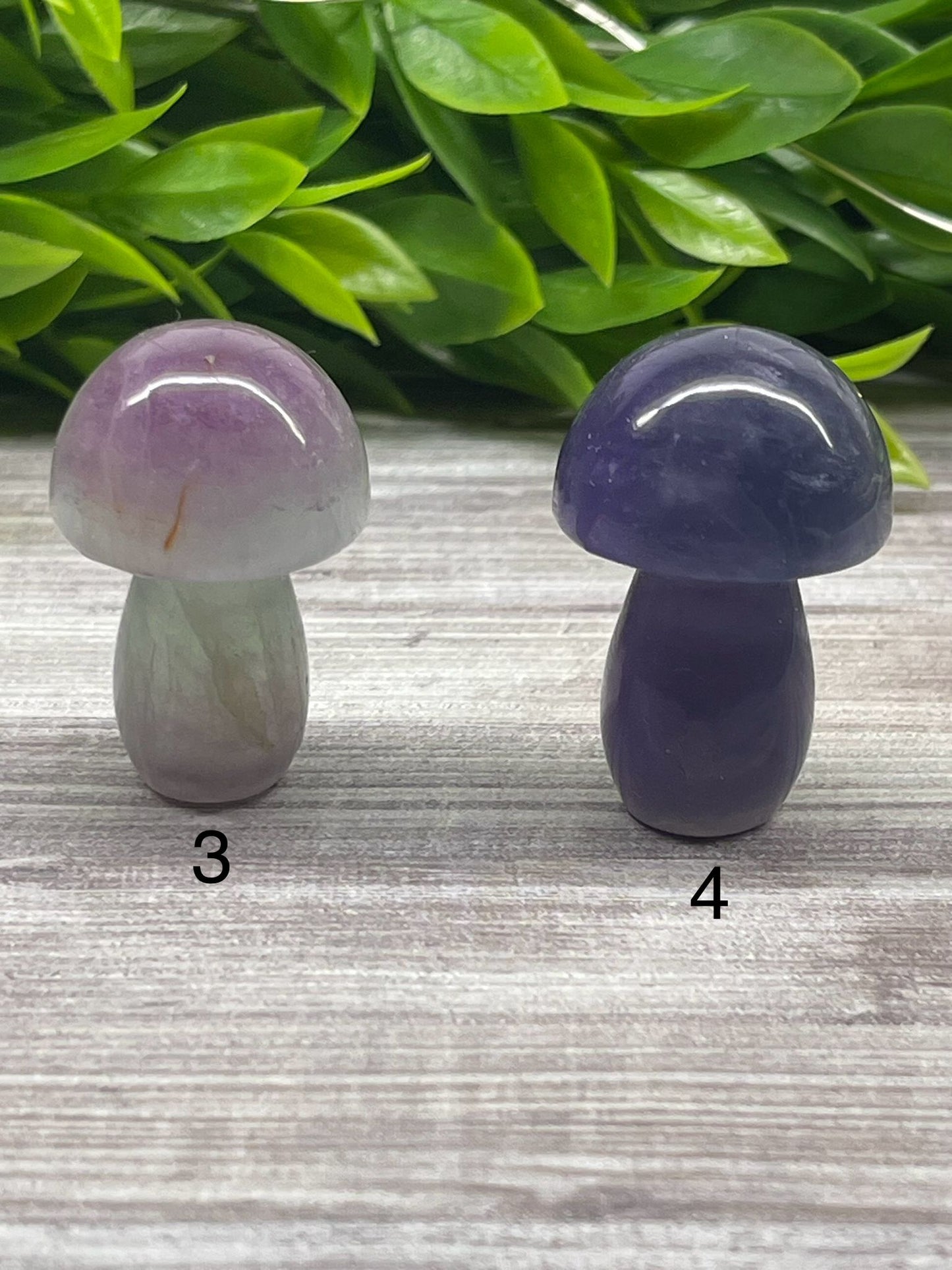 Fluorite Mushrooms