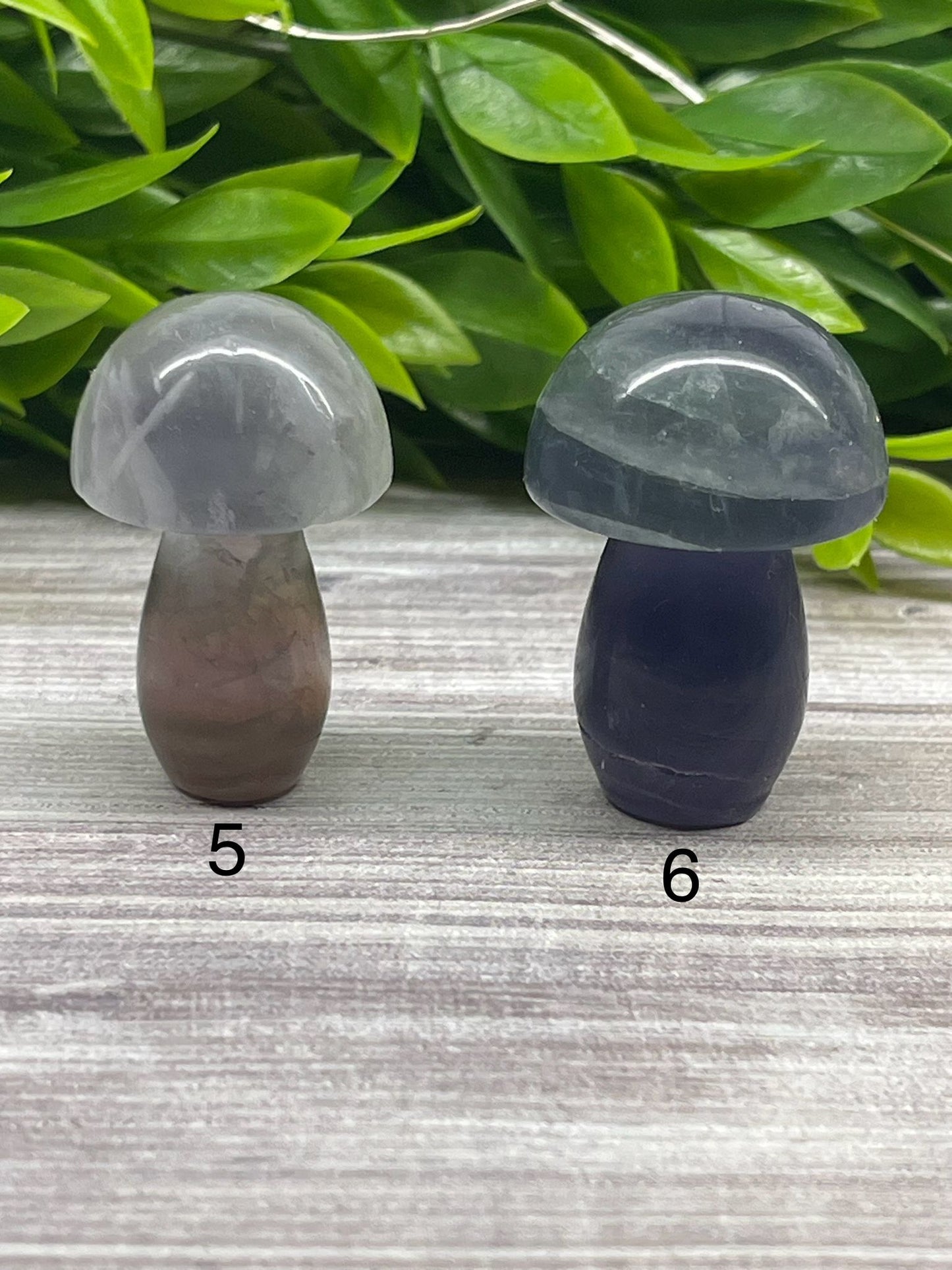 Fluorite Mushrooms