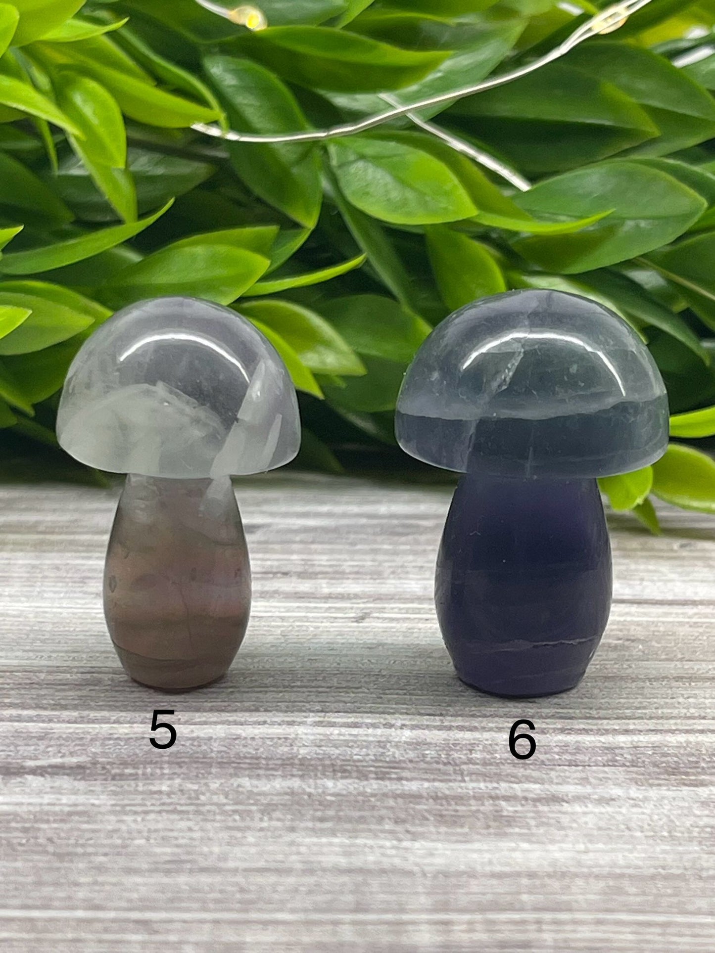 Fluorite Mushrooms