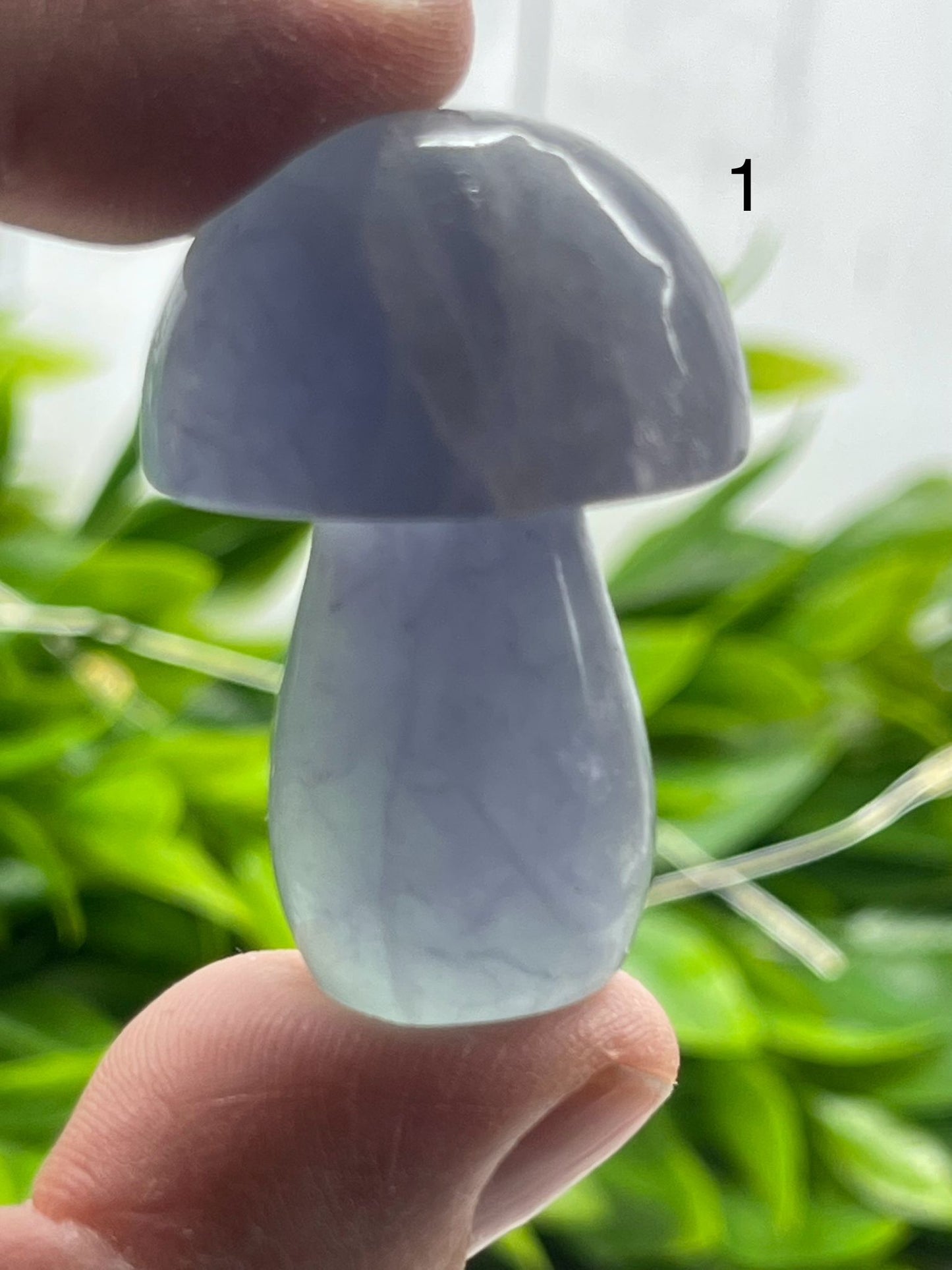 Fluorite Mushrooms