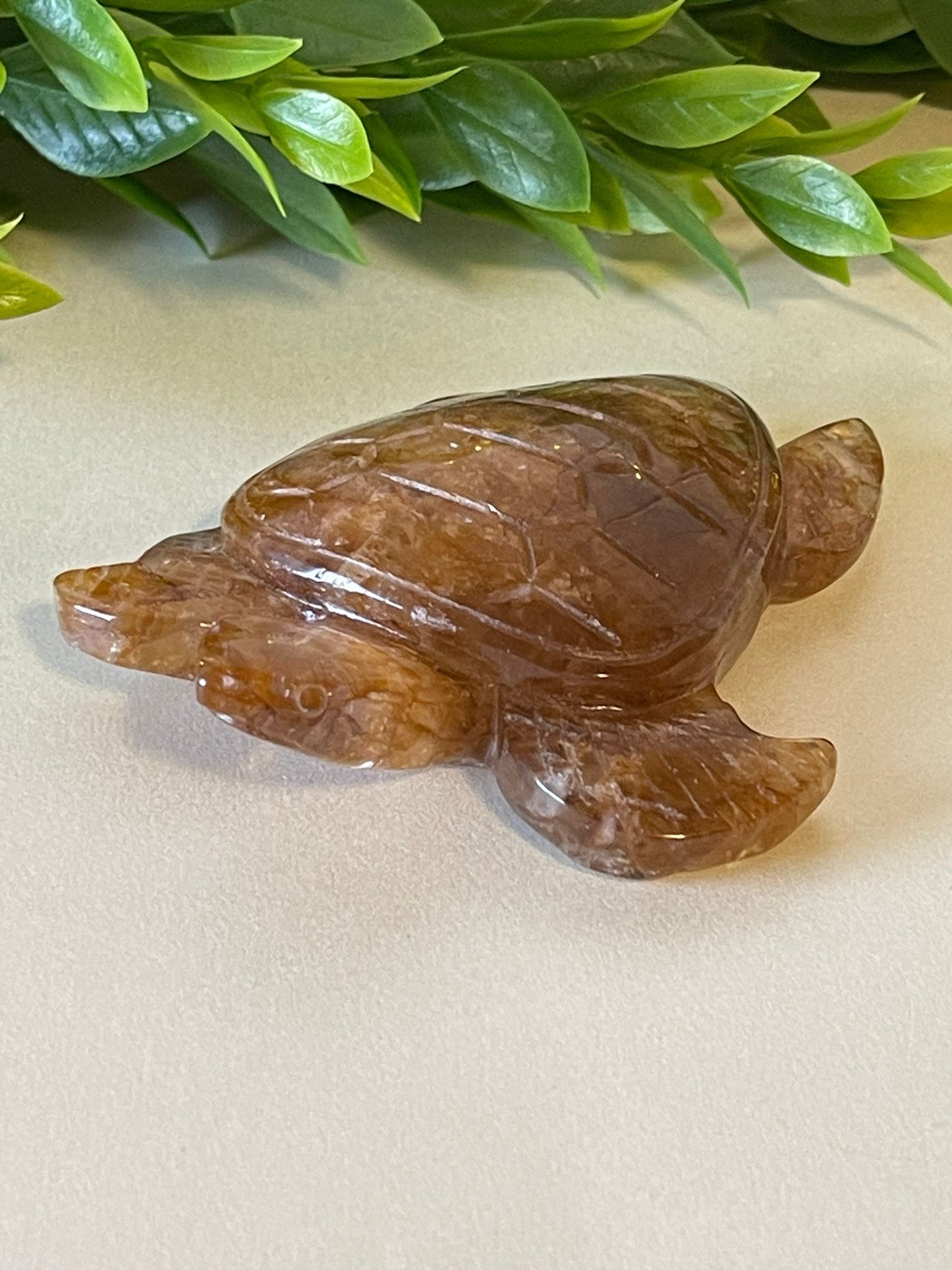 Golden Healer Turtle