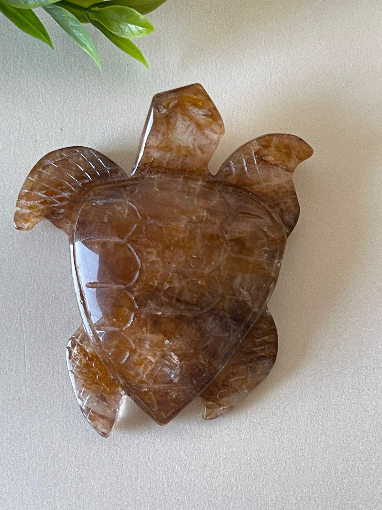 Golden Healer Turtle