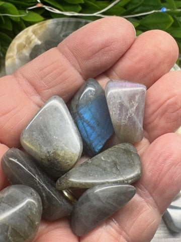 Labradorite Tumbled Stones