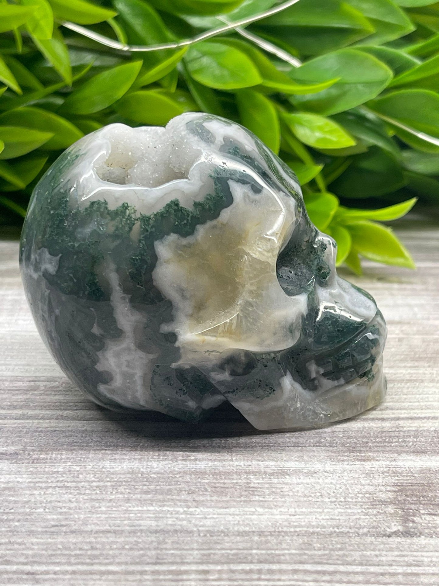 Moss Agate Skull