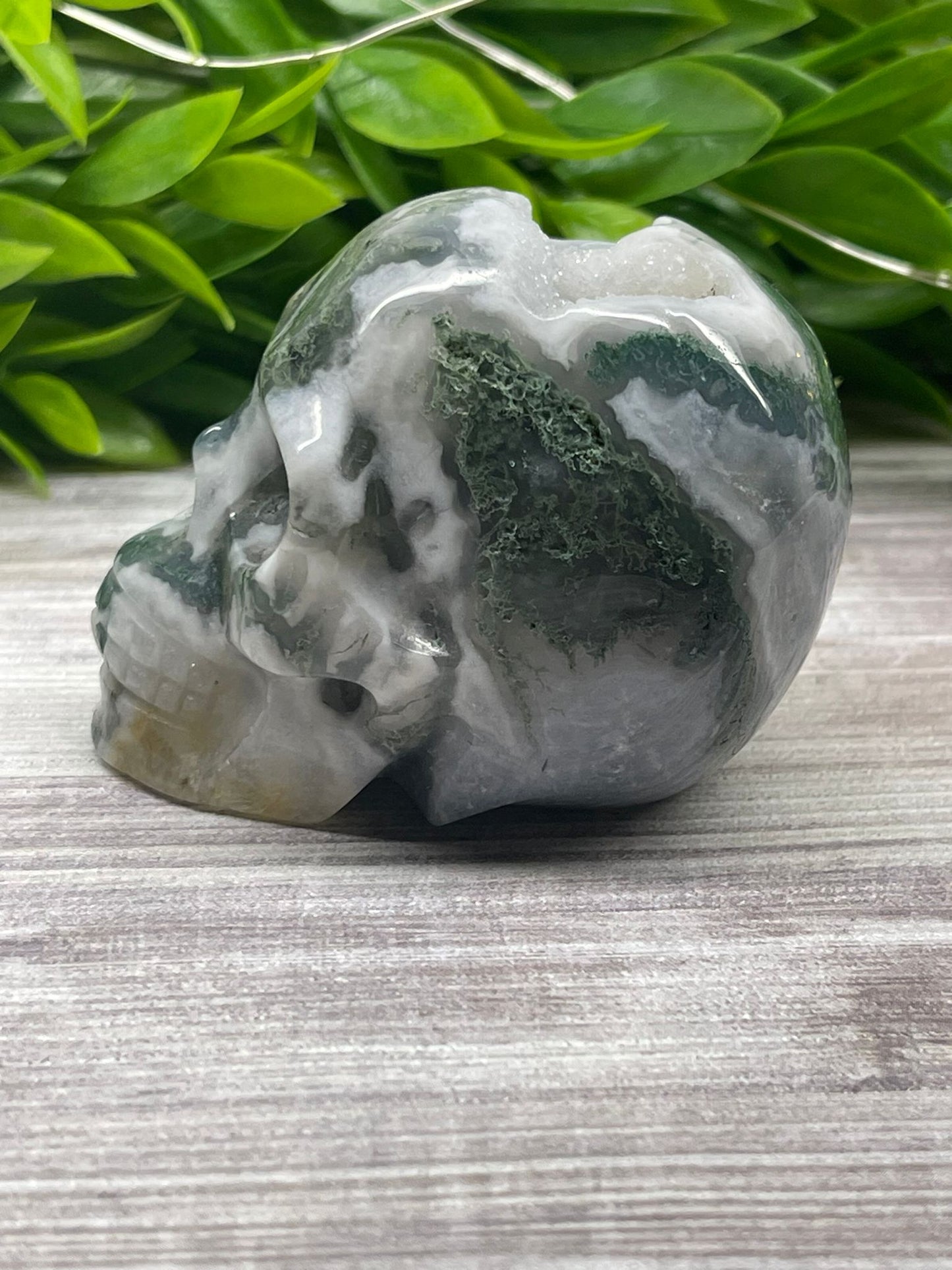Moss Agate Skull