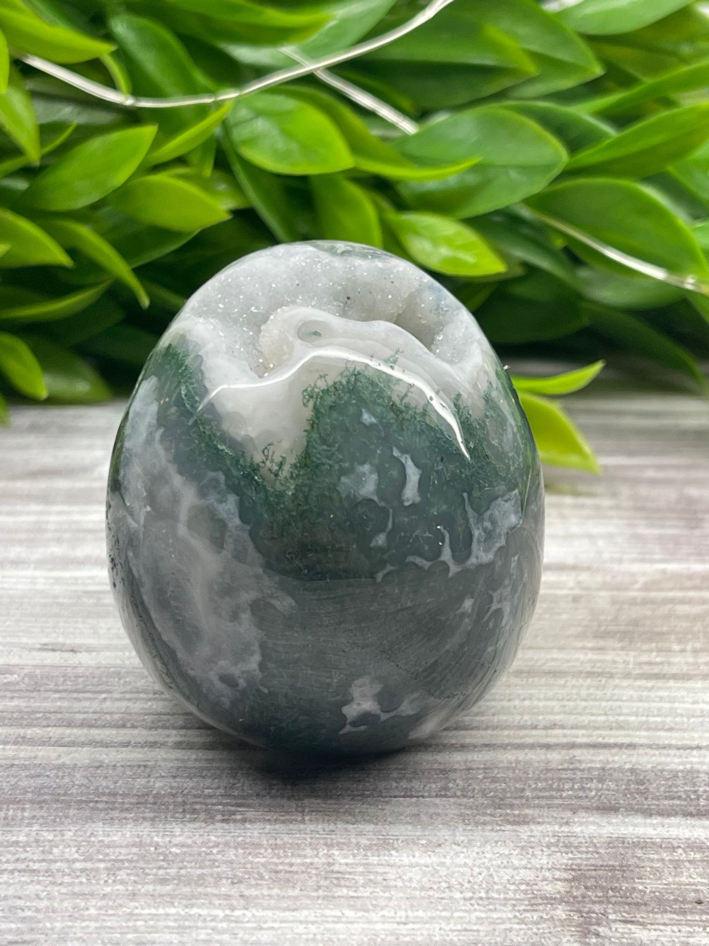 Moss Agate Skull