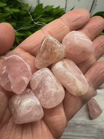 Rose Quartz Tumbled Stones