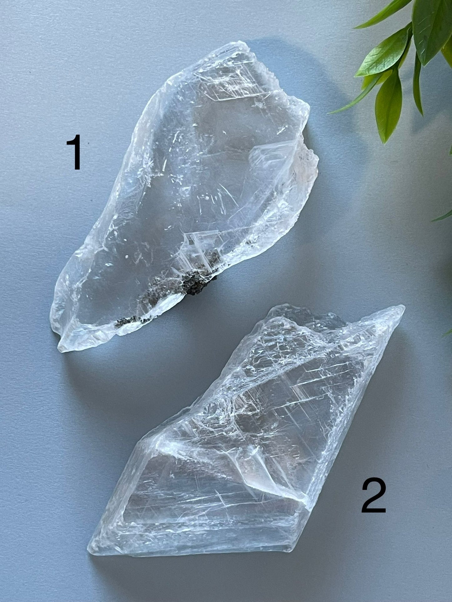 Selenite Slab Specimens