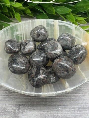 Yooperlite Tumbled Stones