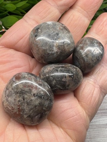 Yooperlite Tumbled Stones