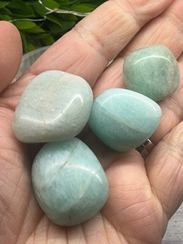 Amazonite Tumbled Stones