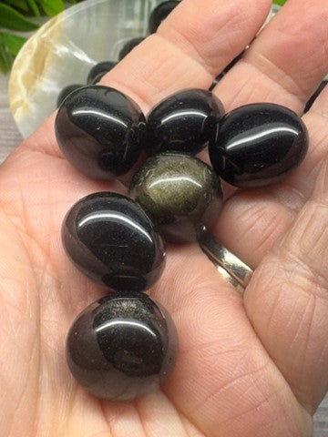 Gold Sheen Obsidian Tumbled Stones