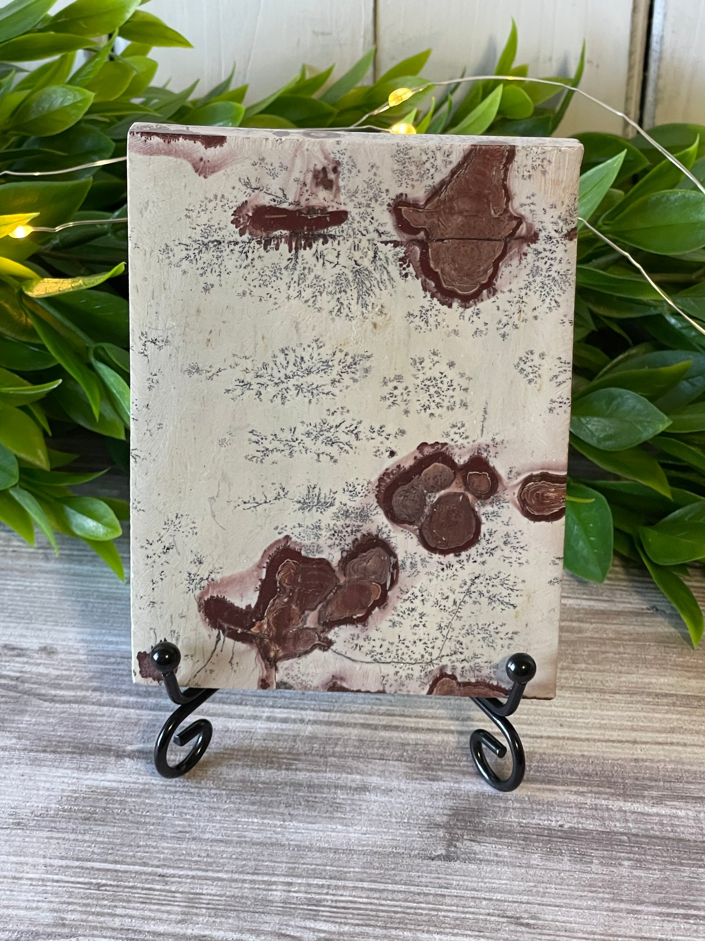 Picture Jasper Slab with Stand