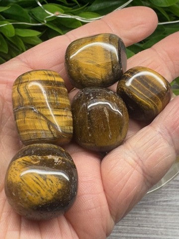 Tigers Eye Tumbled Stones