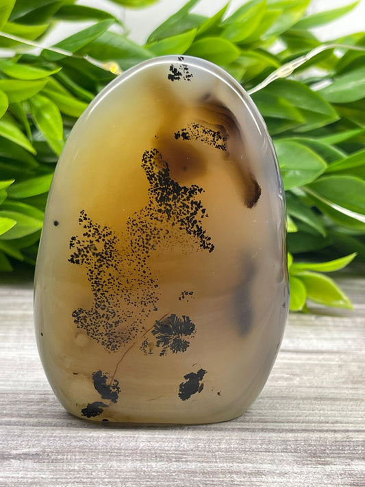 Dendritic Agate Freeform