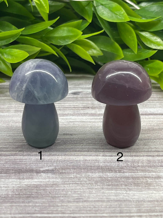 Fluorite Mushrooms